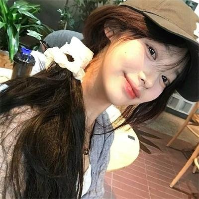 狐狸之声国语